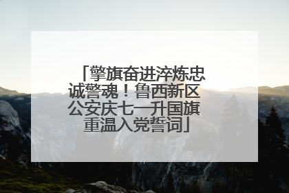 擎旗奋进淬炼忠诚警魂！鲁西新区公安庆七一升国旗 重温入党誓词