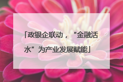 政银企联动，“金融活水”为产业发展赋能