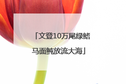 文登10万尾绿鳍马面鲀放流大海