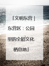 文明东营｜东营区：公园里的全龄文化栖息地