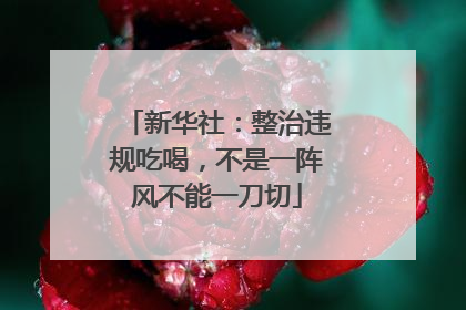 新华社：整治违规吃喝，不是一阵风不能一刀切