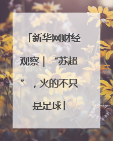 新华网财经观察｜“苏超”，火的不只是足球