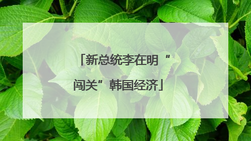 新总统李在明“闯关”韩国经济