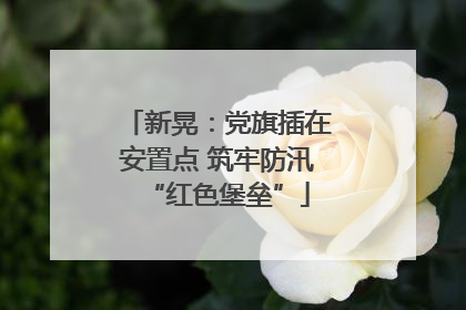 新晃：党旗插在安置点 筑牢防汛“红色堡垒”