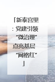 新泰宫里：党建引领“微治理” 点亮基层“网格红”