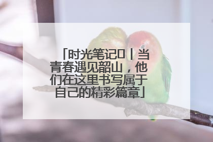 时光笔记⑪丨当青春遇见韶山，他们在这里书写属于自己的精彩篇章
