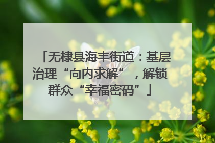 无棣县海丰街道：基层治理“向内求解”，解锁群众“幸福密码”