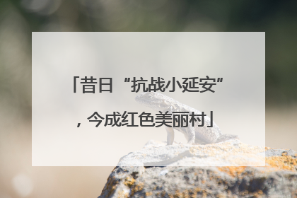 昔日“抗战小延安”，今成红色美丽村