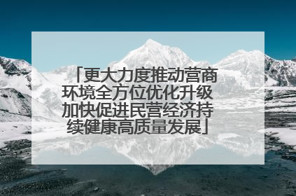 更大力度推动营商环境全方位优化升级加快促进民营经济持续健康高质量发展
