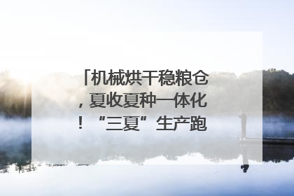 机械烘干稳粮仓，夏收夏种一体化！“三夏”生产跑出加速度｜麦报