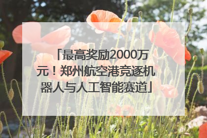 最高奖励2000万元！郑州航空港竞逐机器人与人工智能赛道
