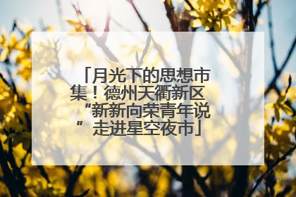 月光下的思想市集！德州天衢新区“新新向荣青年说”走进星空夜市
