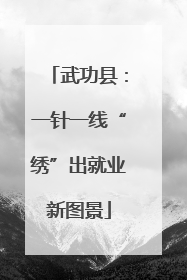 武功县：一针一线“绣”出就业新图景