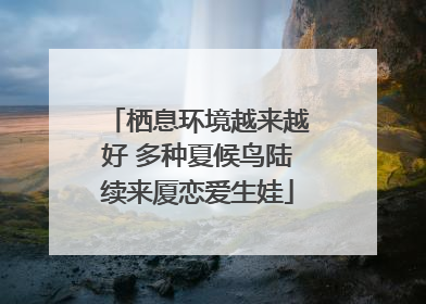 栖息环境越来越好 多种夏候鸟陆续来厦恋爱生娃