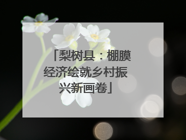 梨树县：棚膜经济绘就乡村振兴新画卷