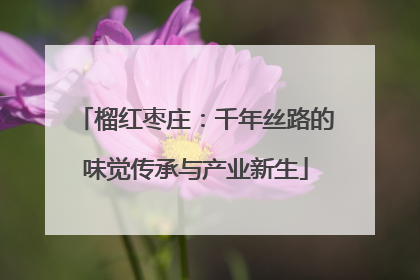 榴红枣庄：千年丝路的味觉传承与产业新生