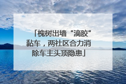 槐树出墙“滴胶”黏车，两社区合力消除车主头顶隐患