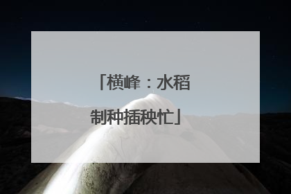 横峰：水稻制种插秧忙