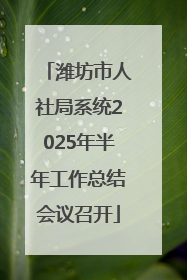 潍坊市人社局系统2025年半年工作总结会议召开