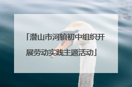 潜山市河镇初中组织开展劳动实践主题活动