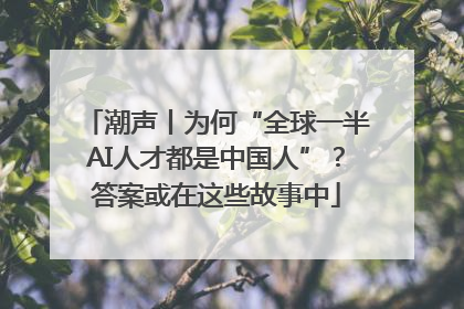潮声丨为何“全球一半AI人才都是中国人”？答案或在这些故事中