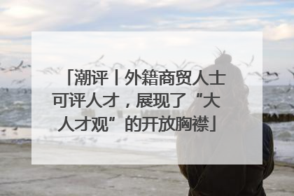 潮评丨外籍商贸人士可评人才，展现了“大人才观”的开放胸襟