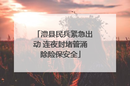 澧县民兵紧急出动 连夜封堵管涌除险保安全