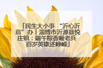 民生大小事 “沂心沂意”办丨淄博市沂源县悦庄镇：端午粽香暖老兵 百岁英雄述峥嵘