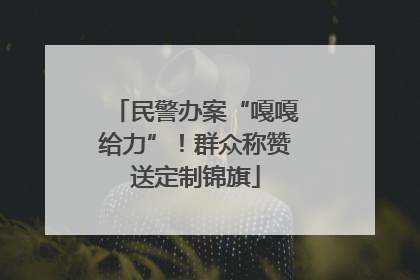 民警办案“嘎嘎给力”！群众称赞送定制锦旗