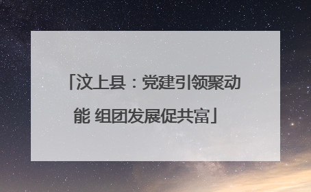 汶上县：党建引领聚动能 组团发展促共富