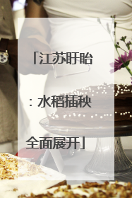 江苏盱眙：水稻插秧全面展开