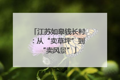 江苏如皋钱长村：从“卖草坪”到“卖风景”