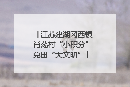 江苏建湖冈西镇肖荡村“小积分”兑出“大文明”