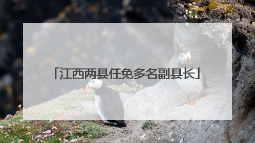 江西两县任免多名副县长