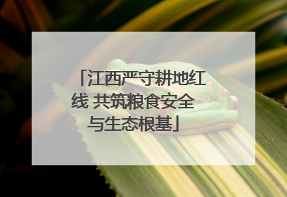 江西严守耕地红线 共筑粮食安全与生态根基