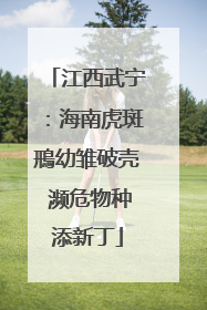 江西武宁：海南虎斑鳽幼雏破壳 濒危物种添新丁