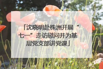 沈晓明赴株洲开展“七一”走访慰问并为基层党支部讲党课