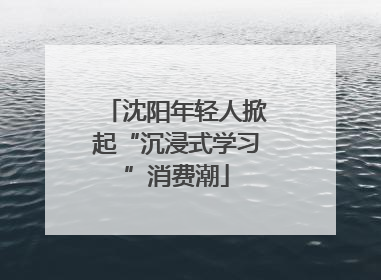 沈阳年轻人掀起“沉浸式学习”消费潮