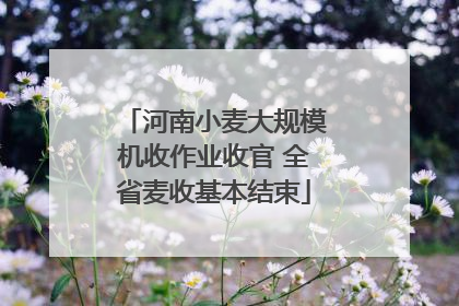 河南小麦大规模机收作业收官 全省麦收基本结束