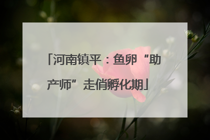 河南镇平：鱼卵“助产师”走俏孵化期