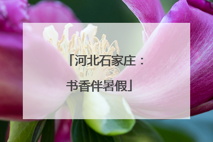 河北石家庄：书香伴暑假