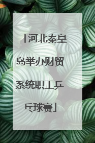 河北秦皇岛举办财贸系统职工乒乓球赛