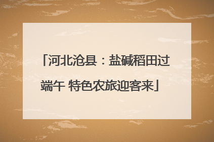 河北沧县：盐碱稻田过端午 特色农旅迎客来