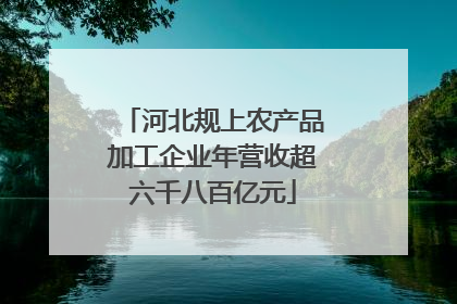 河北规上农产品加工企业年营收超六千八百亿元
