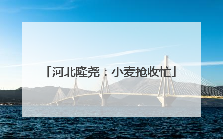 河北隆尧：小麦抢收忙