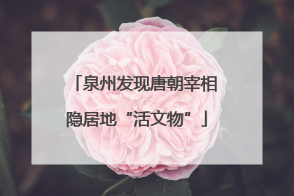 泉州发现唐朝宰相隐居地“活文物”