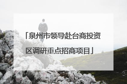 泉州市领导赴台商投资区调研重点招商项目