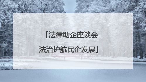 法律助企座谈会 法治护航民企发展