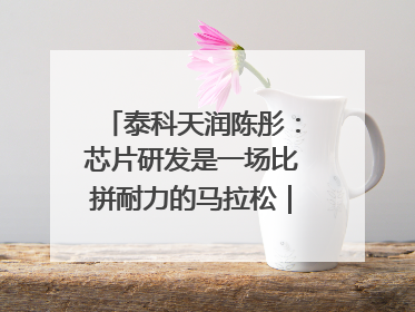 泰科天润陈彤：芯片研发是一场比拼耐力的马拉松｜湘商，向上⑤