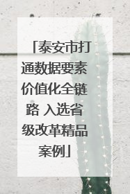 泰安市打通数据要素价值化全链路 入选省级改革精品案例
